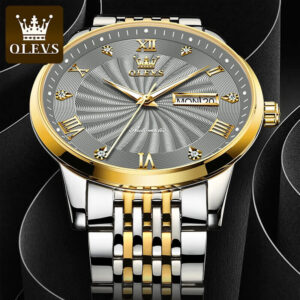 OLEVS Automatic Mechanical Watch for Men | 6630