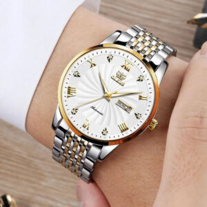 OLEVS Automatic Mechanical Watch for Men | 6630